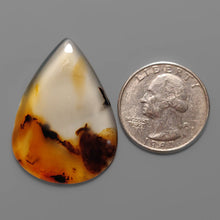 Montana Agate Cabochon