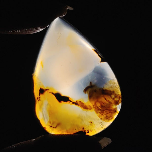 Montana Agate Cabochon