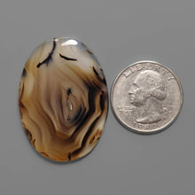 Montana Agate Cabochon