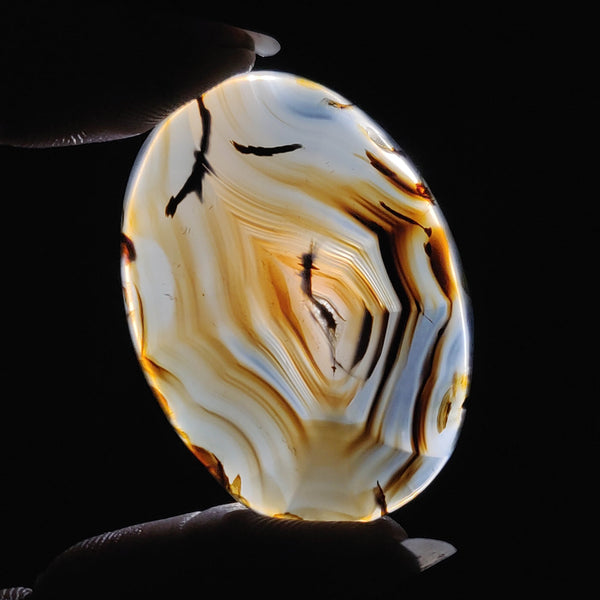 Montana Agate Cabochon