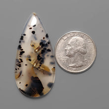 Montana Agate Cabochon