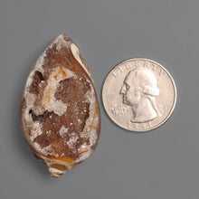 Snail Shell Druzy