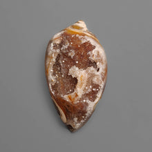 Snail Shell Druzy