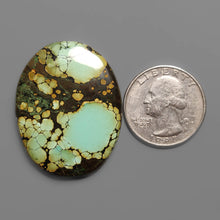 Rare Pattern Hubei Turquoise Cabochon