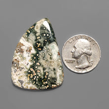 Orbicular Ocean Jasper Cabochon