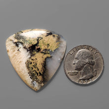 Australian Tiger Dendritic Agate Cabochon