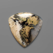 Australian Tiger Dendritic Agate Cabochon