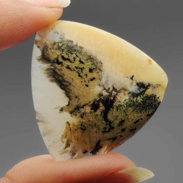 Australian Tiger Dendritic Agate Cabochon