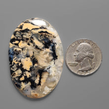Australian Tiger Dendritic Agate Cabochon