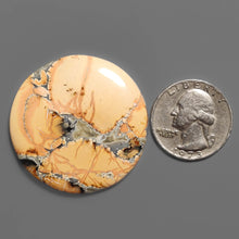 Maligano Japser Round Cabochon