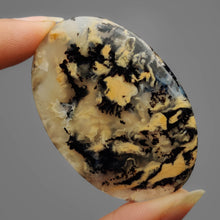 Australian Tiger Dendritic Agate Cabochon