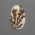 German Dendritic Agate Cabochon Raw Face