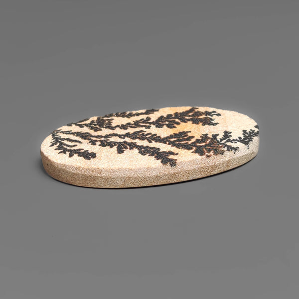 German Dendritic Agate Cabochon Raw Face