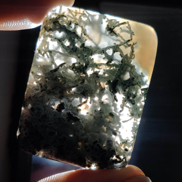 Horse Canyon Moss Agate Cabochon
