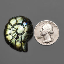 Labradorite Ammonite Carving