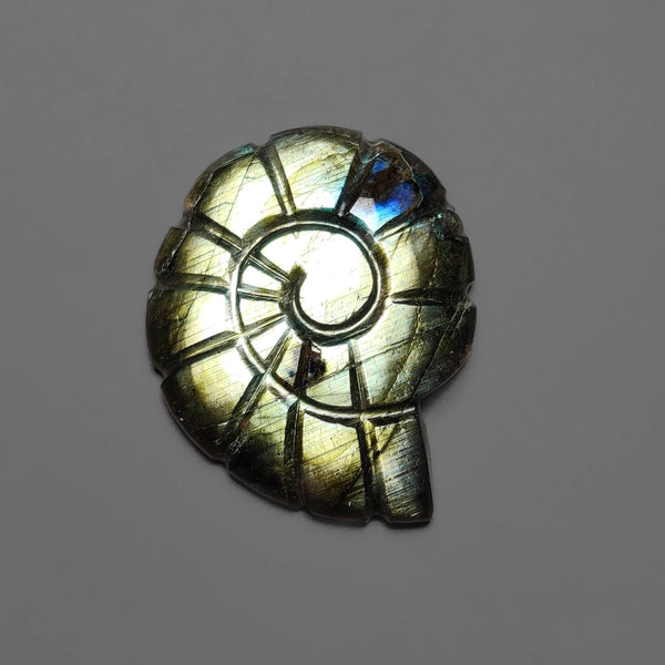 Labradorite Ammonite Carving