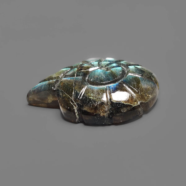 Labradorite Ammonite Carving
