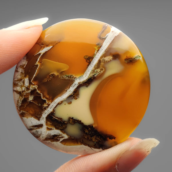 Honey Agate Cabochon
