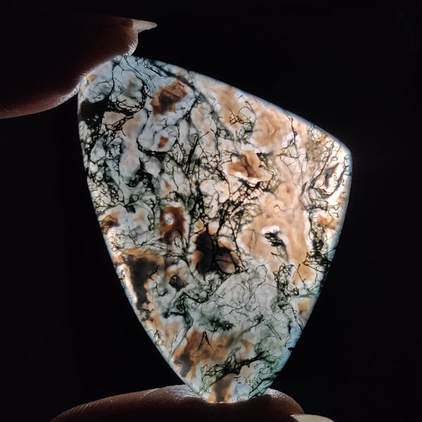 Moss Agate Cabochon