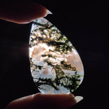 Moss Agate Cabochon