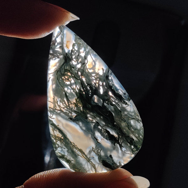 Horse Canyon Moss Agate Cabochon