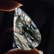 Horse Canyon Moss Agate Cabochon