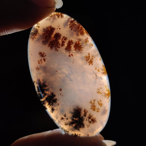 Russian Dendritic Agate Cabochon