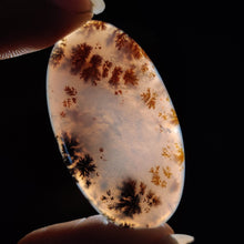 Russian Dendritic Agate Cabochon