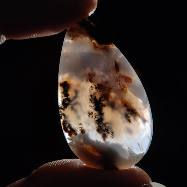 Russian Dendritic Agate Cabochon