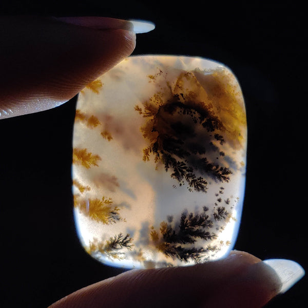Russian Dendritic Agate Cabochon