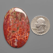 Orbicular Ocean Jasper Cabochon