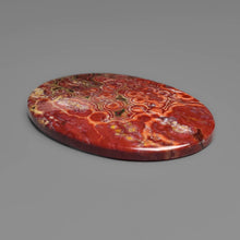 Orbicular Ocean Jasper Cabochon