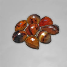 Rose Cut Montana Agate Lot