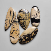 Sage Brush Jasper Cabs Lot